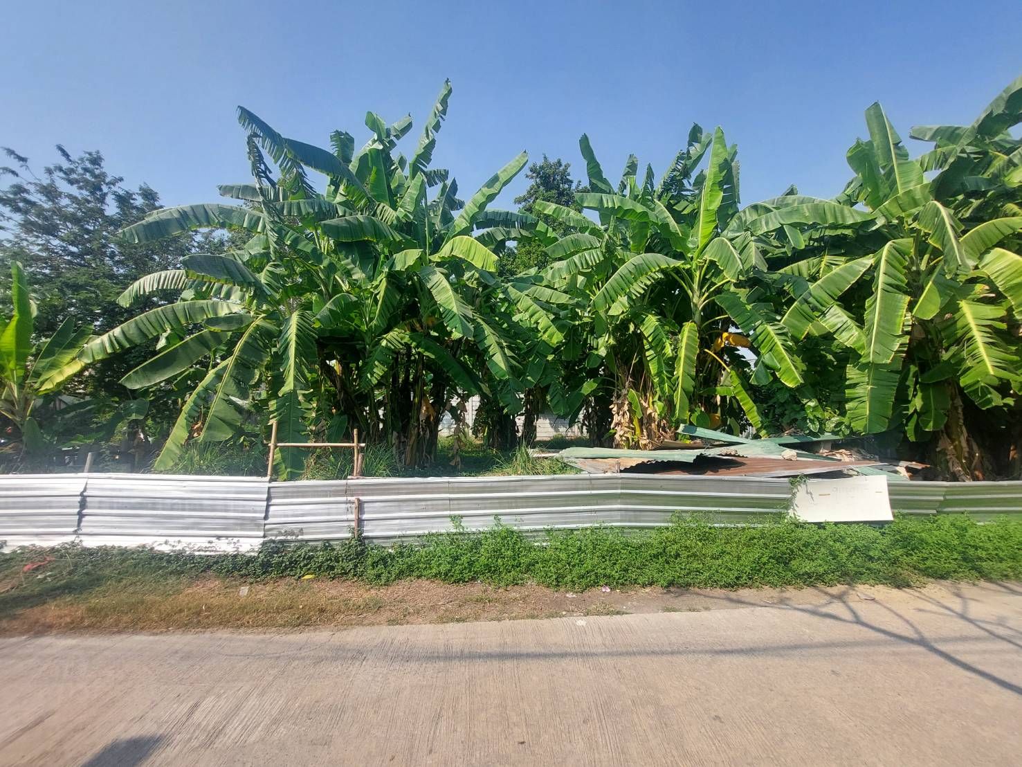 ขายที่ดิน ซอยสายไหม 47 ถ.สายไหม เข้าซอย 20 เมตร ติดบิ๊กซีสายไหม ติดหมู่บ้านพฤกษาวิลล์