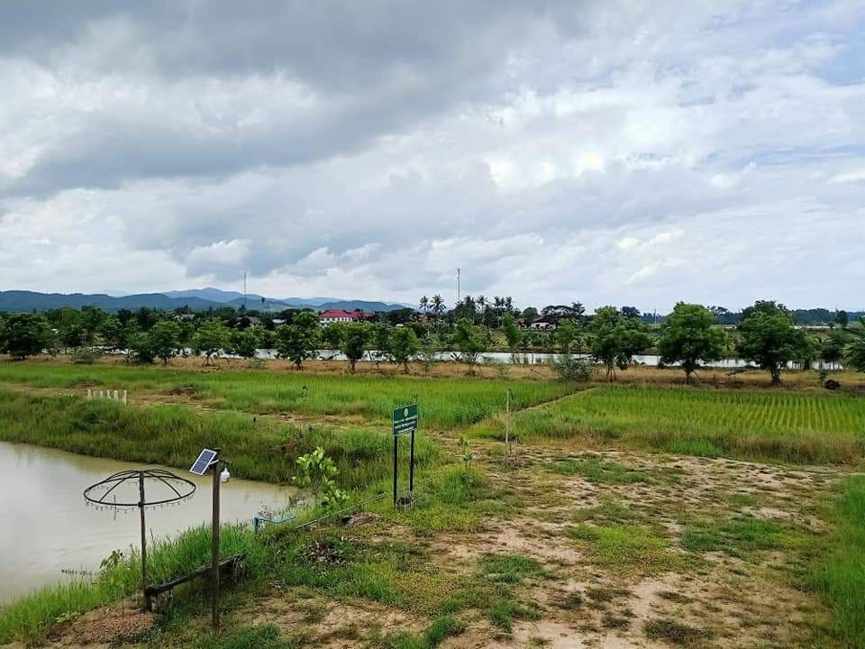 ขายที่ดินเชียงราย เวียงป่าเป้า 9-0-18