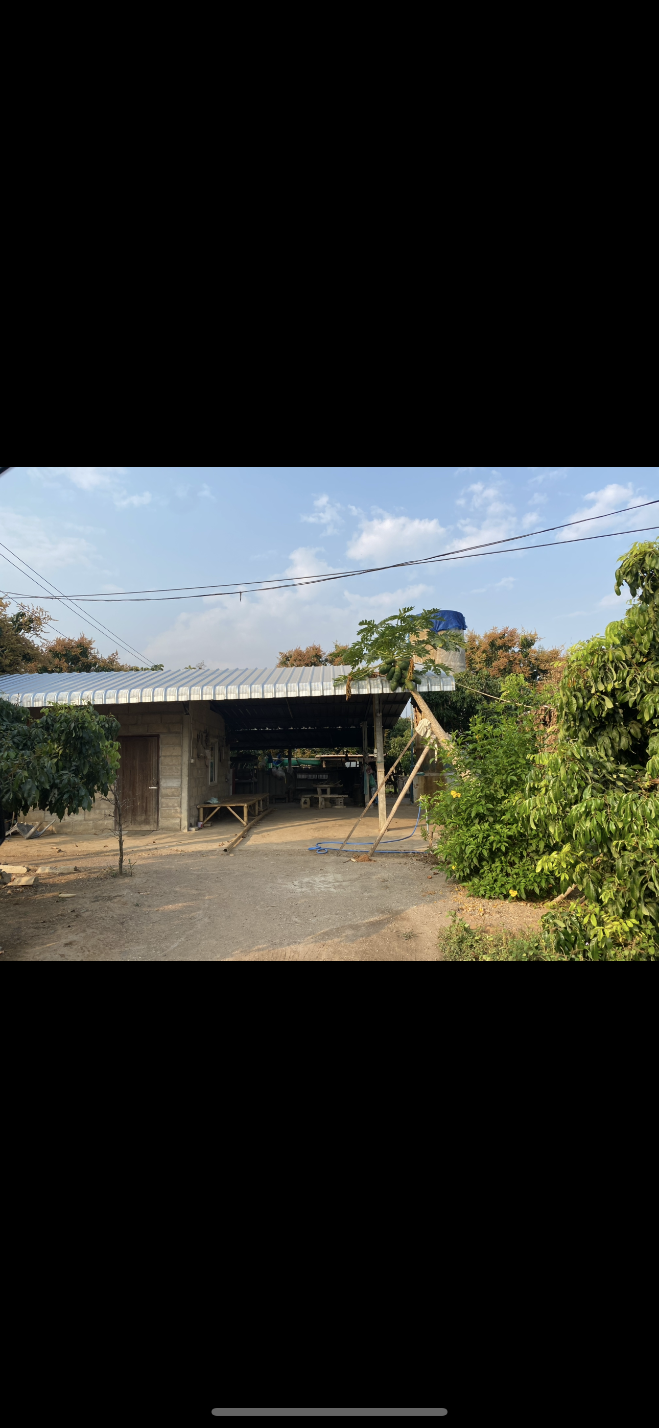 ต้องการขายบ้านพร้อมสวนลำไยขายด่วน ขายถูกมากคะ