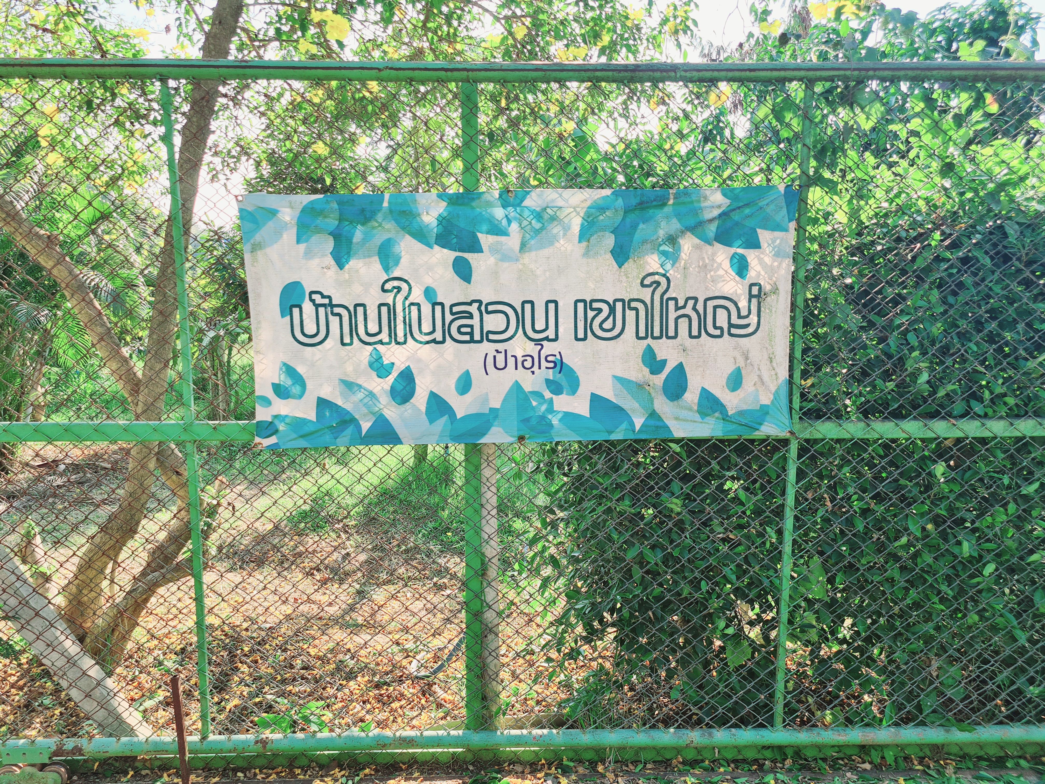ขายสวนทุเรียนเขาใหญ่ 10 ไร่ ต.หนองน้ำแดง อ.ปากช่อง