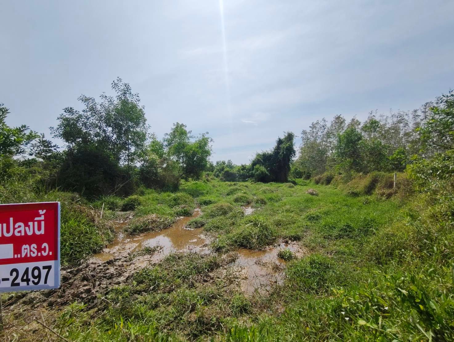 ขายที่ดิน บ้านพรุ ขนาด เกือบ 2 ไร่