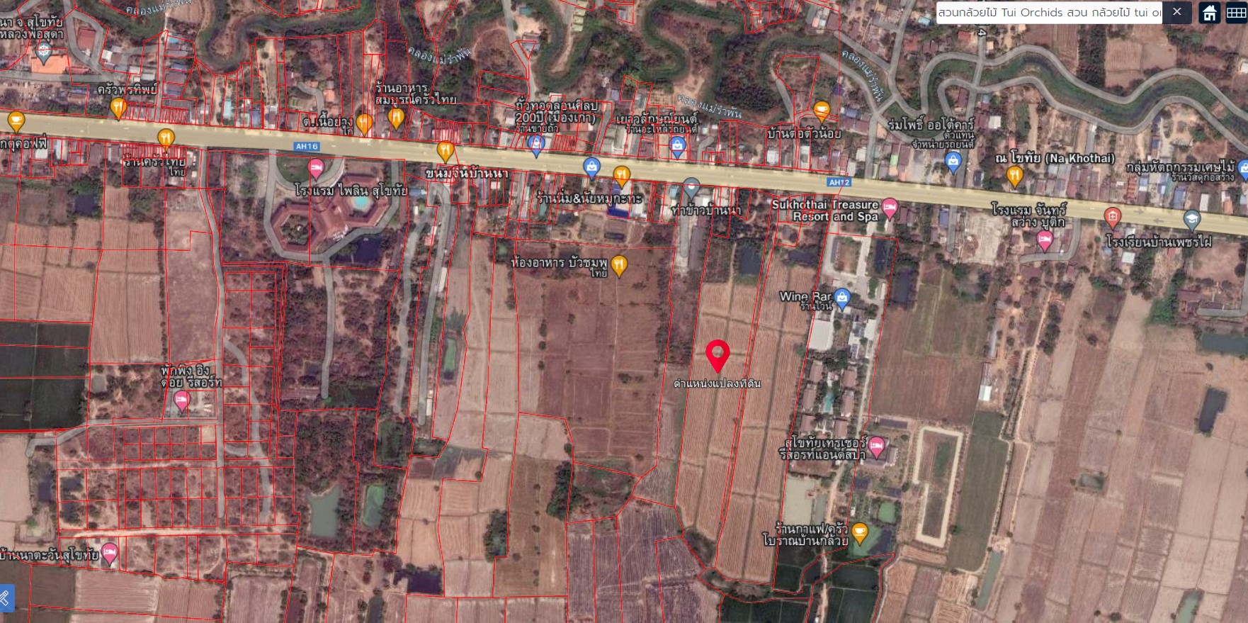 ที่ดินเปล่า เมืองสุโขทัย 19-0-95.1