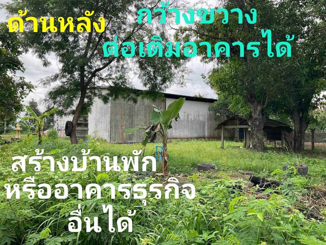 ขายที่ดินพร้อมสิ่งปลูกสร้าง หน้ากว้าง อ.เลิงนกทา จ.ยโสธร