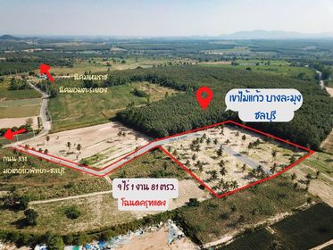 ที่ดินเปล่าบางละมุง 9-1-81