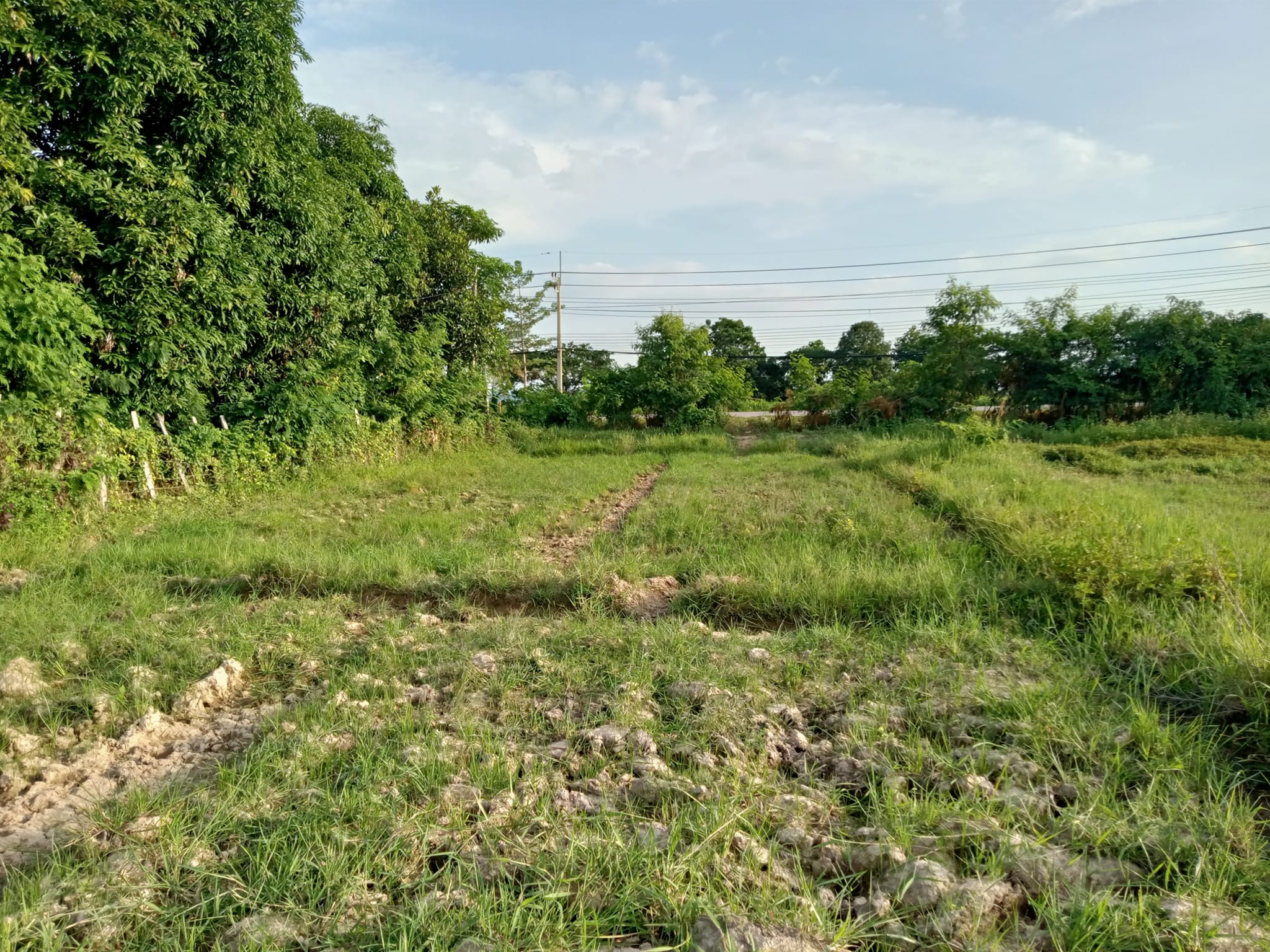 ที่ดินเปล่าที่นา แม่ทะ ลำปาง 2-1-23.5