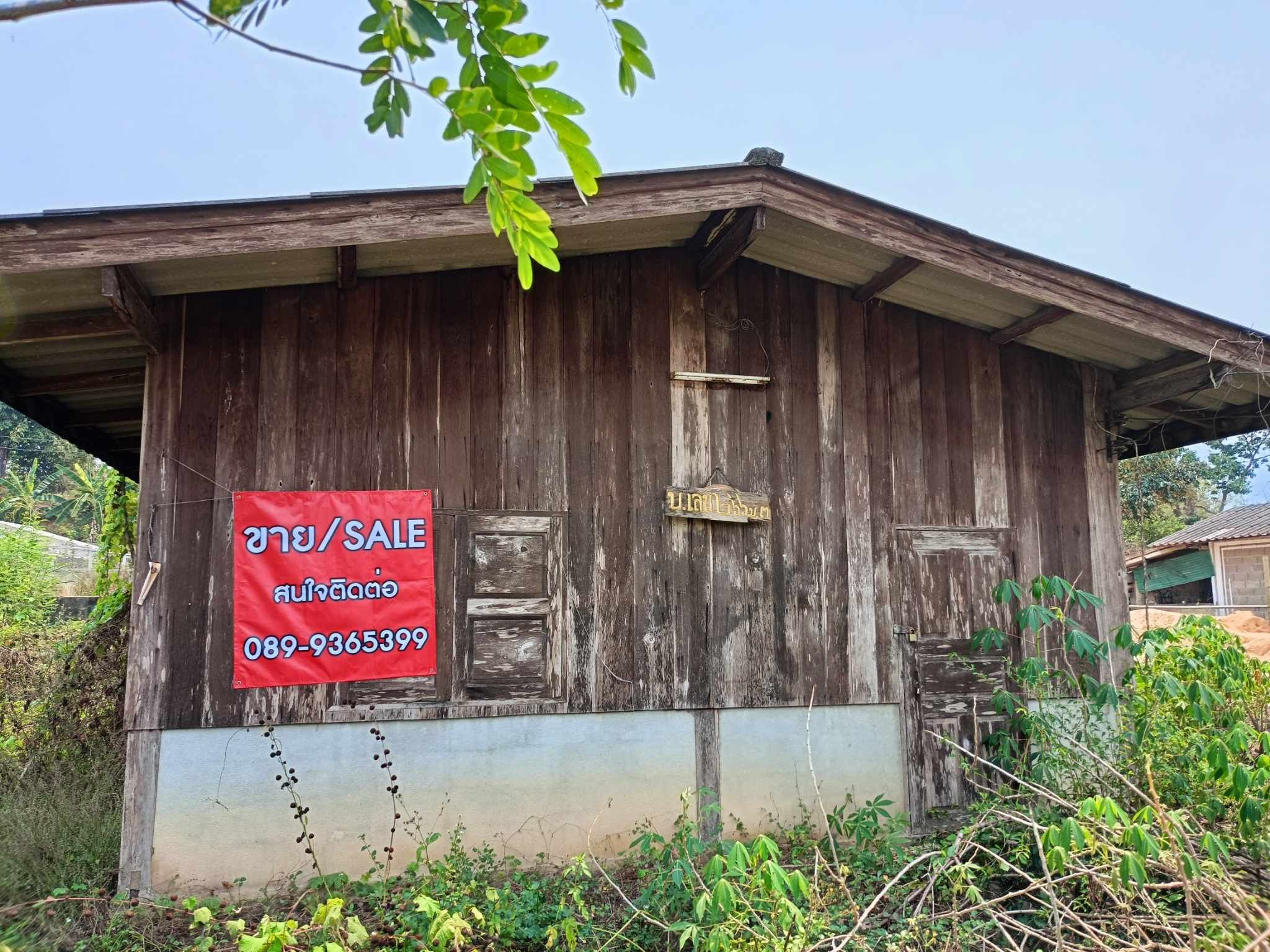 ขายที่ดินถมสูงมีบ้านตำบลแม่นะ เชียงดาว เชียงใหม่ 96 ตร.ว