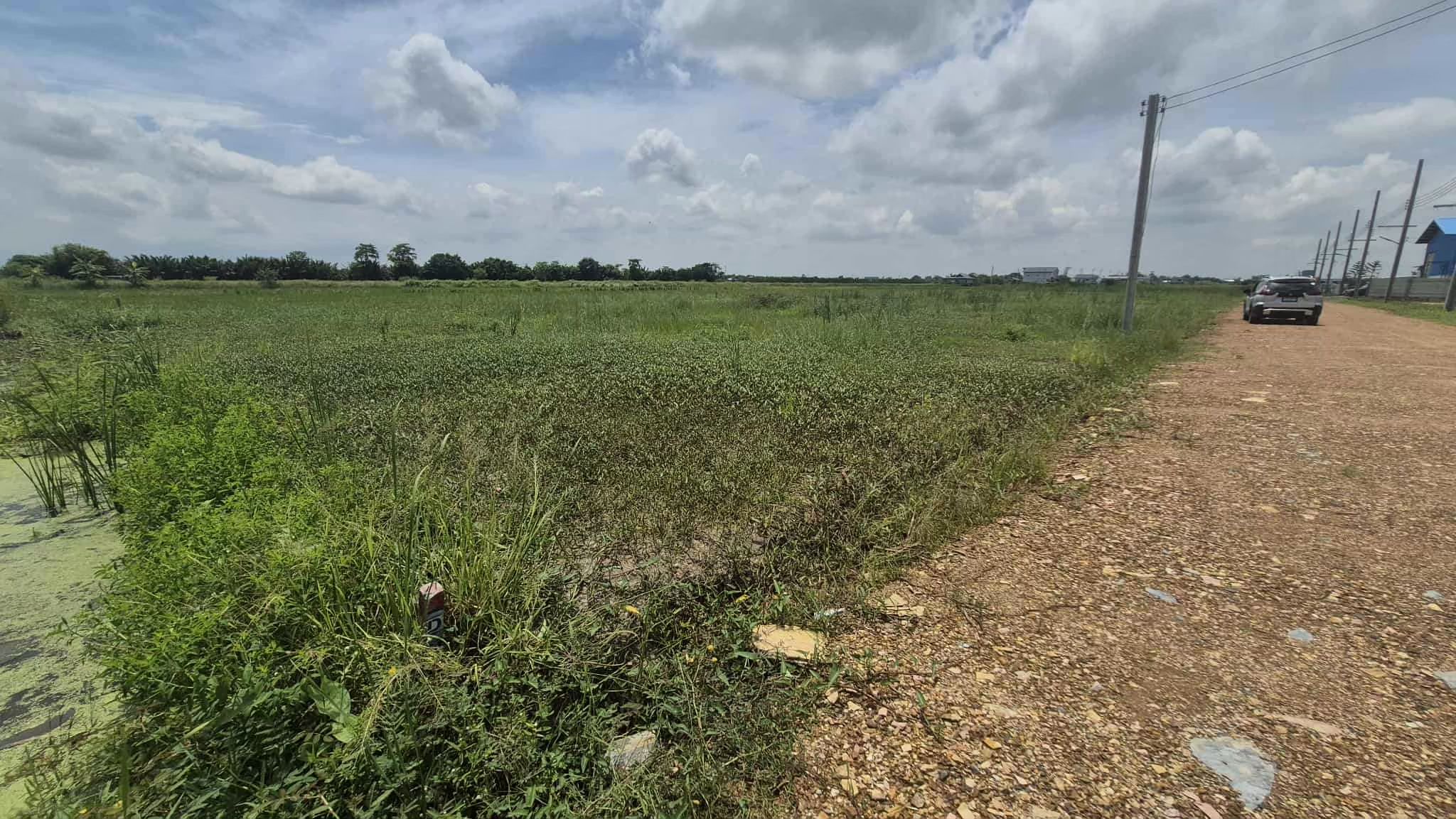 ที่สวย 100 ตรว ทำเลดี บรรบยากาศดี หนองจอก กรุงเทพ