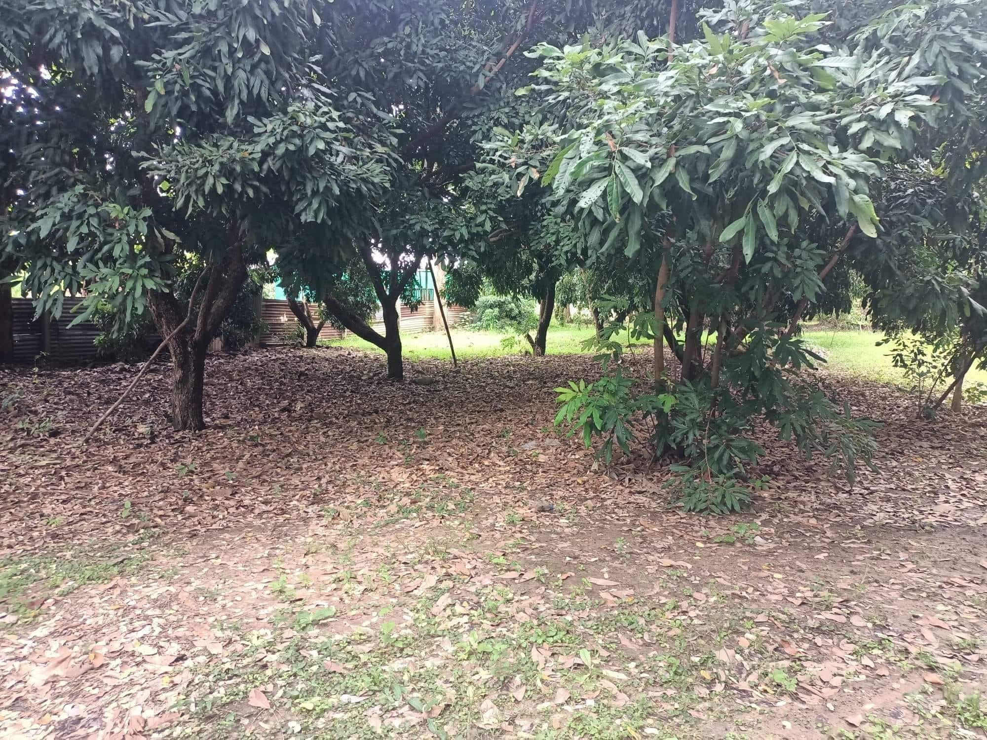 ขายที่ดิน ตาก 3 ไร่