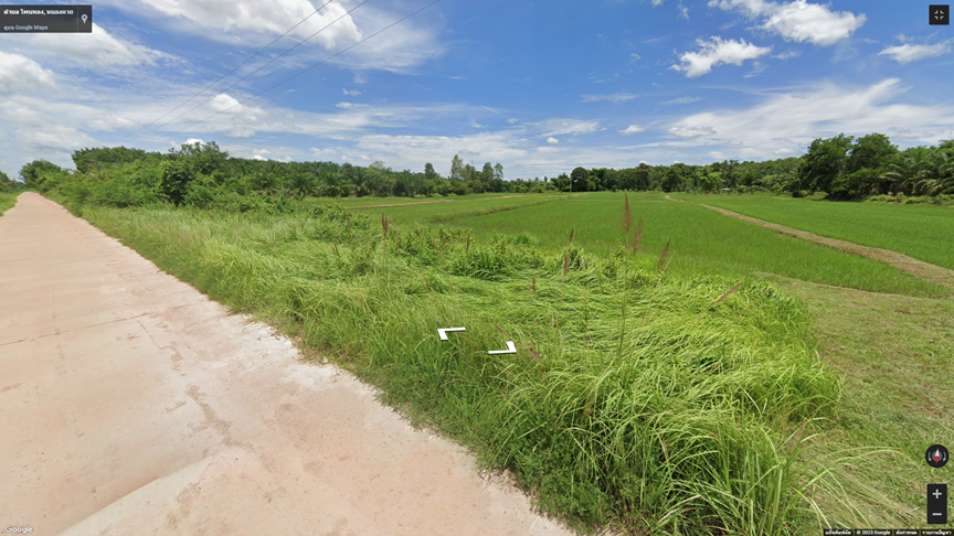 ขายที่ดิน หนองคาย หลังโรงเรียนบ้านไร่ ติดถนนคอนกรีต และคลองชลประทาน ต.โพนทอง อ.โพธิ์ตาก 