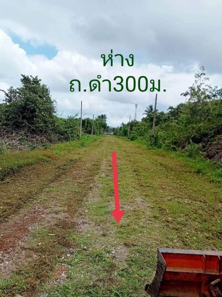 ที่ดินเปล่า สงขลา 109 ตรว.