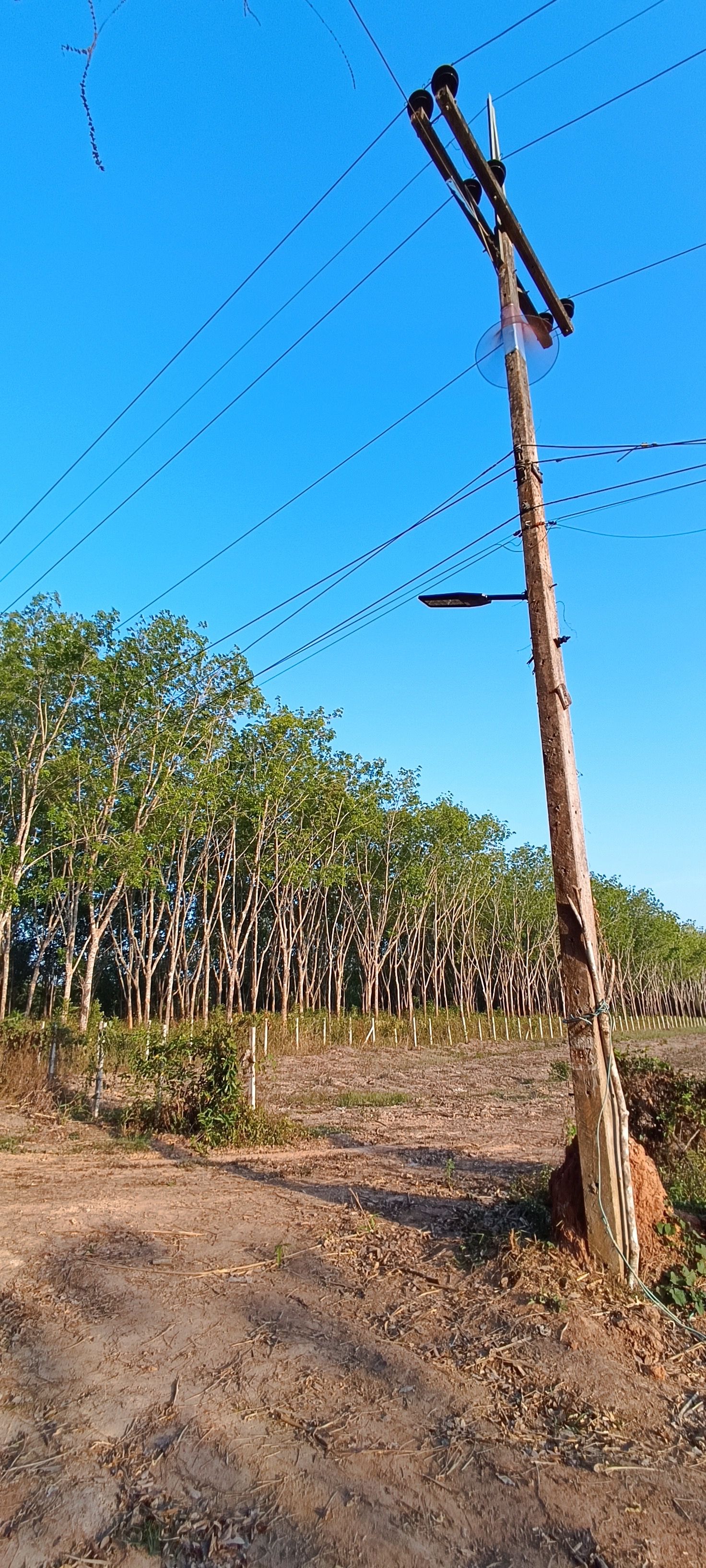 ขายที่ดินเปล่า คลองหอยโข่ง ใกล้อ่างเก็บน้ำคลองหลา