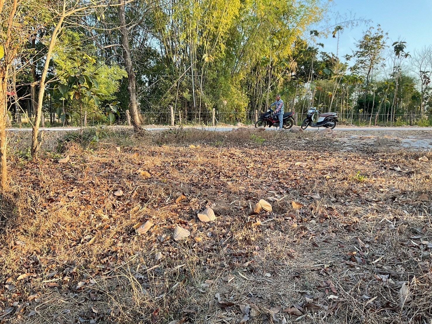 ขายด่วน ที่ดิน 2 แปลง(รวม 8 ไร่) พิกัด อำเภอเพ็ญ จ.อุดรธานี