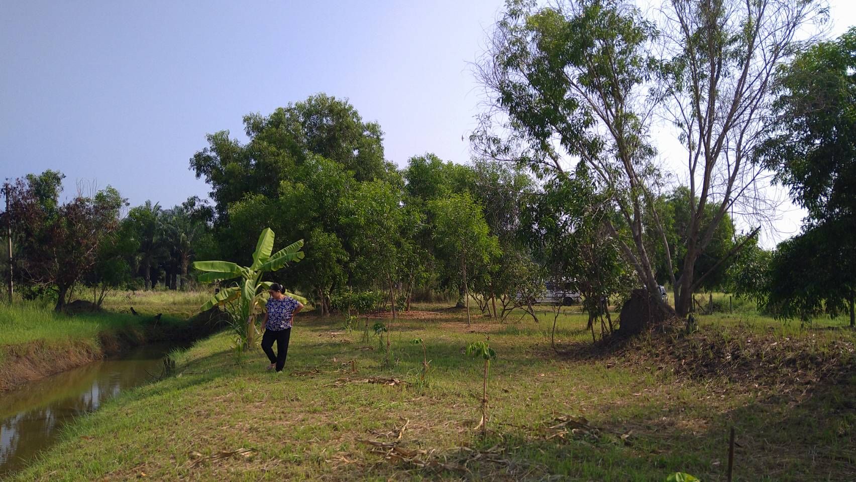 ขายที่ดินสวย 1 ไร่ หนองเสือคลองสิบ เจ้าของขายเอง