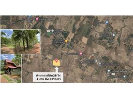 ที่ดินสวนยางพาราพร้อมบ้านสวน อ.วานรนิวาส 28-1-82