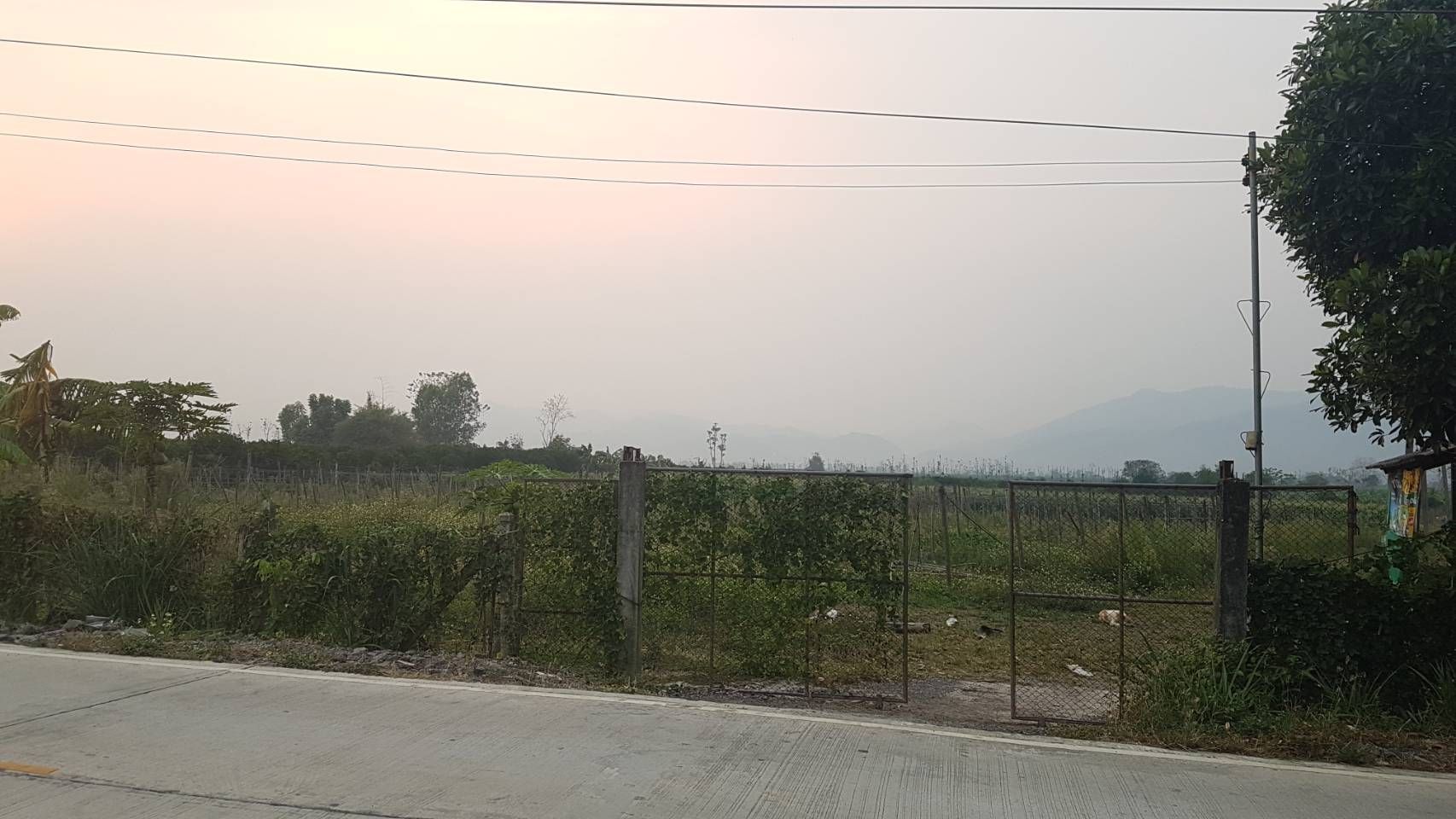 ลดราคาขายด่วน!! ที่ดิน 24 ไร่ ต.แม่นาวาง อ.แม่อาย จ.เชียงใหม่ ติดถนน มีรถสองแถวผ่าน