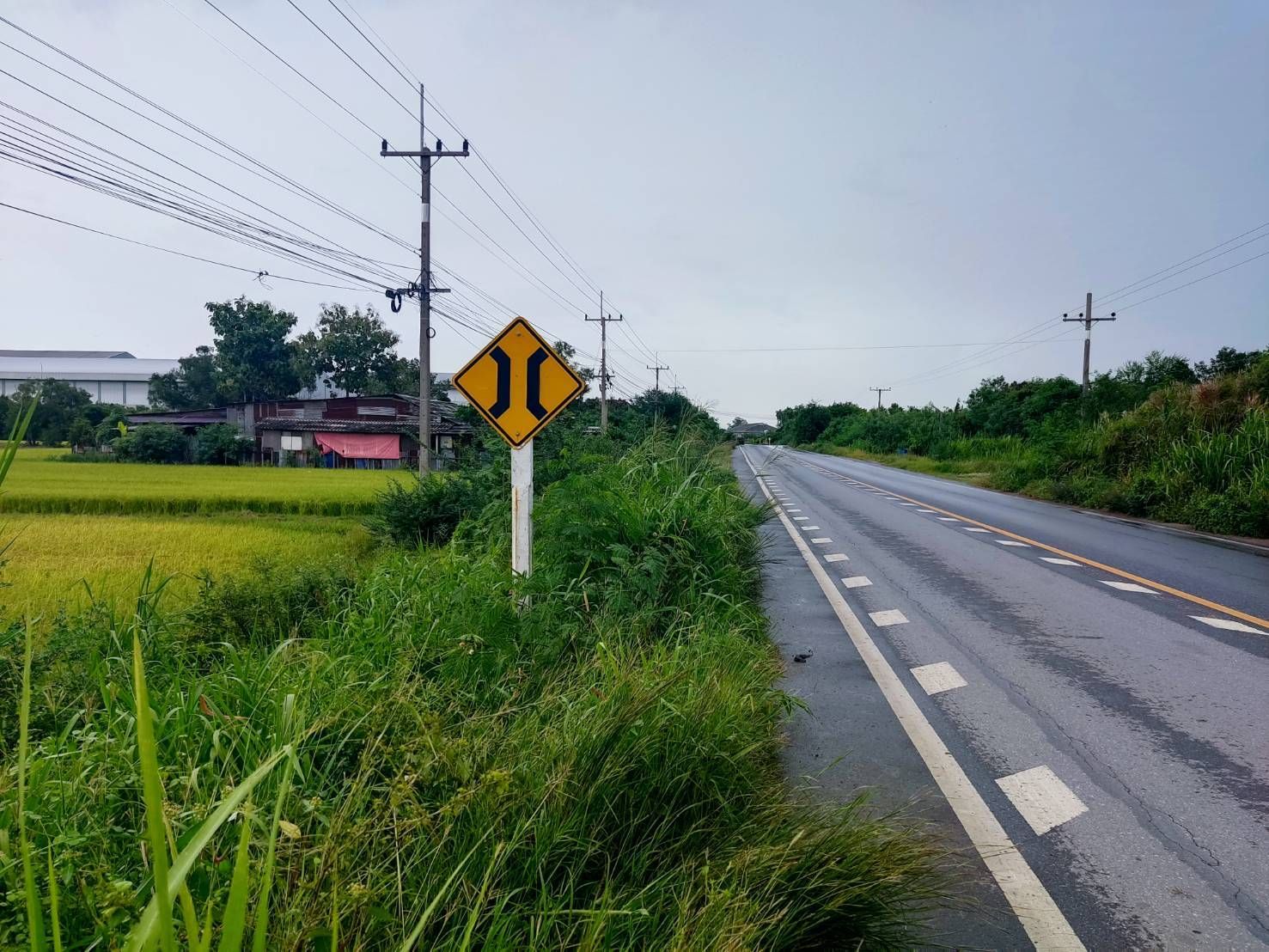 ที่ดินติดถนนลาดบัวหลวง-ไม้ตราขายยกแปลง 10 ไร่ 96 ตร.ว.