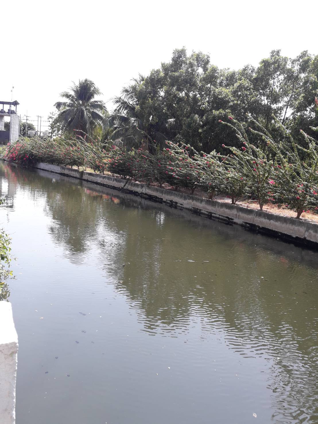 ที่ดินติดคลอง มีสวนสวยงาม สามพราน นครปฐม 17-1-28