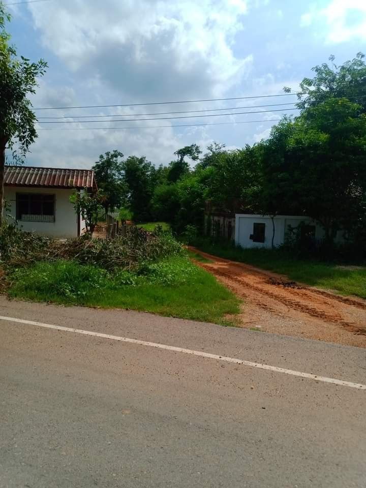 ขายที่ดิน เมืองชัยภูมิ ชัยภูมิ 4-3-29