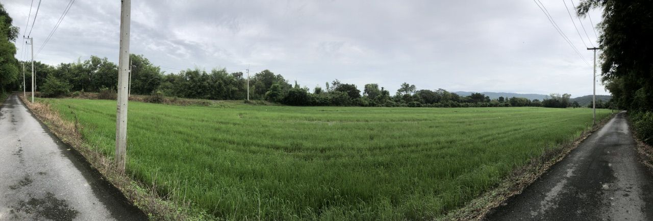 ขายที่ดิน