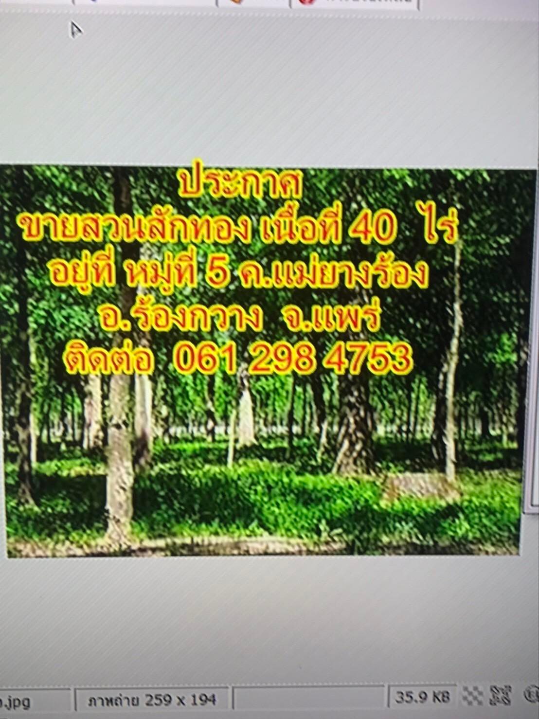 ขายที่ดินเปล่าแพร่ จ.แพร่ อ.ร้องกวาง 40 ไร่