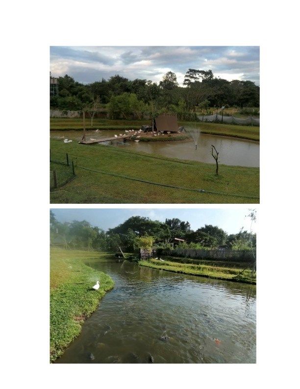 ขายบ้านสวนและที่ดิน 4.5 ไร่ ใกล้ตัวเมืองเชียงใหม่