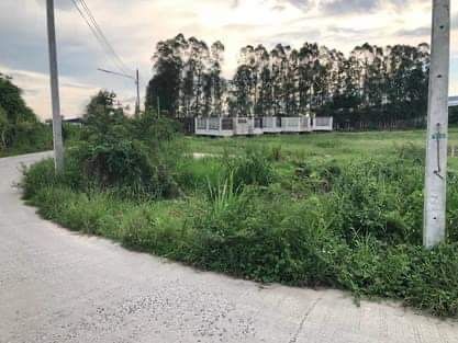 ขายที่ดินชลบุรี อำเภอพานทอง ที่ดินทำเลดี