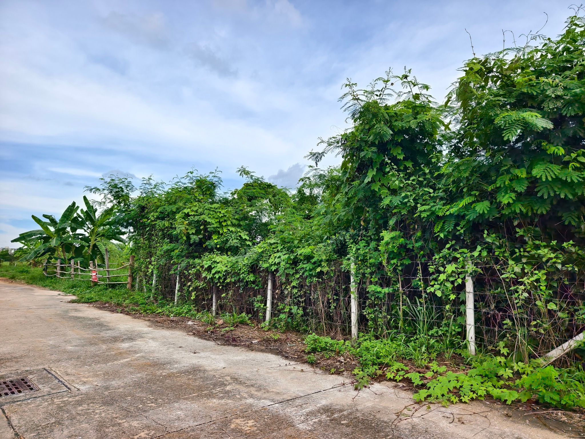 ขายที่ดิน 251.8 ตรว 7 ล้านบาท ใจกลางเมืองลำปาง เจ้าของขายเอง