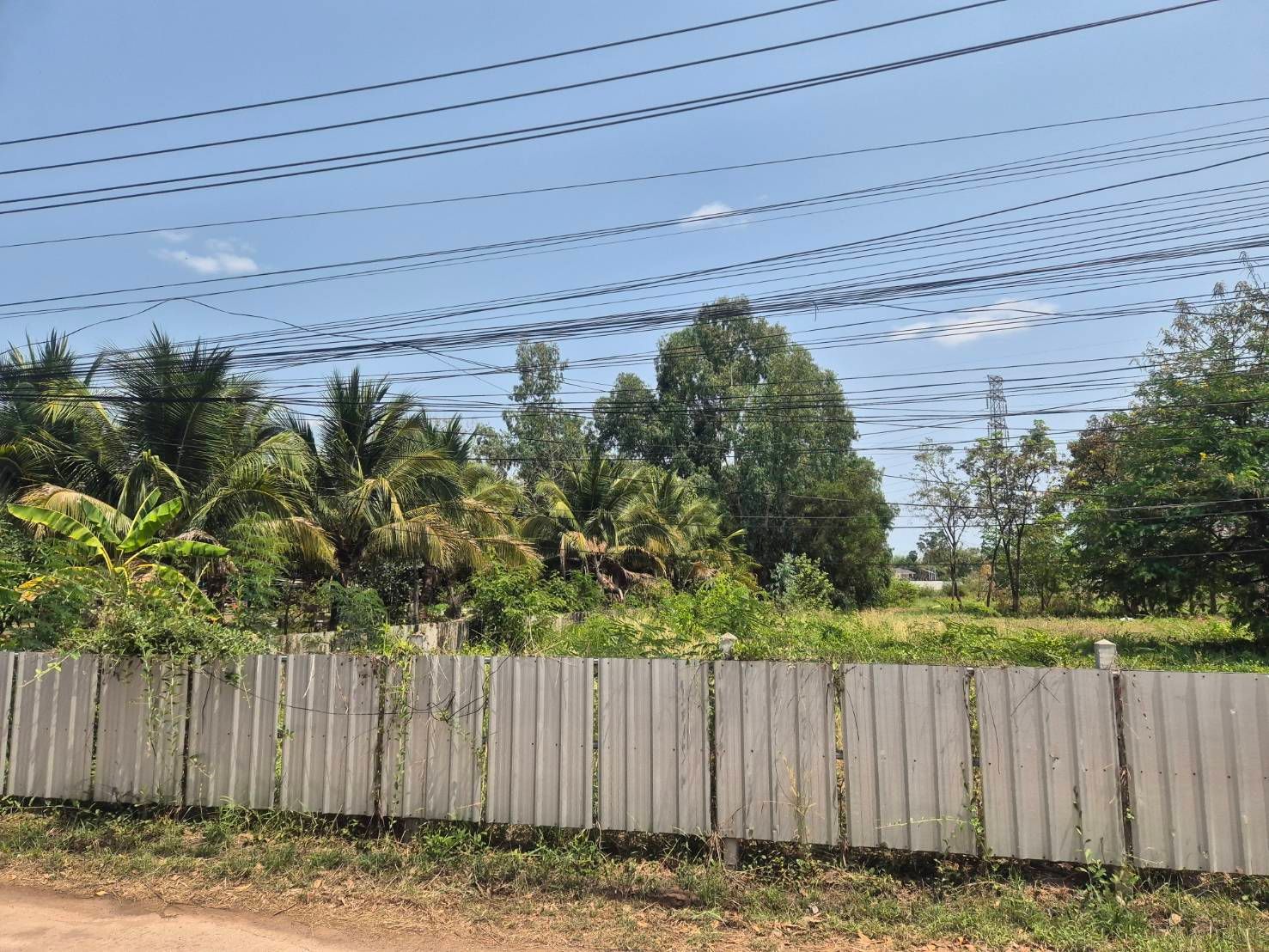 ขายที่ดิน อุดรธานี หมูม่น 1-0-21 ไร่