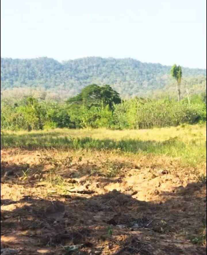 ขายที่ดิน หน้าติดทางสาธารณะ หลังติดแม่น้ำน่าน อุตรดิตถ์ 3-1-37