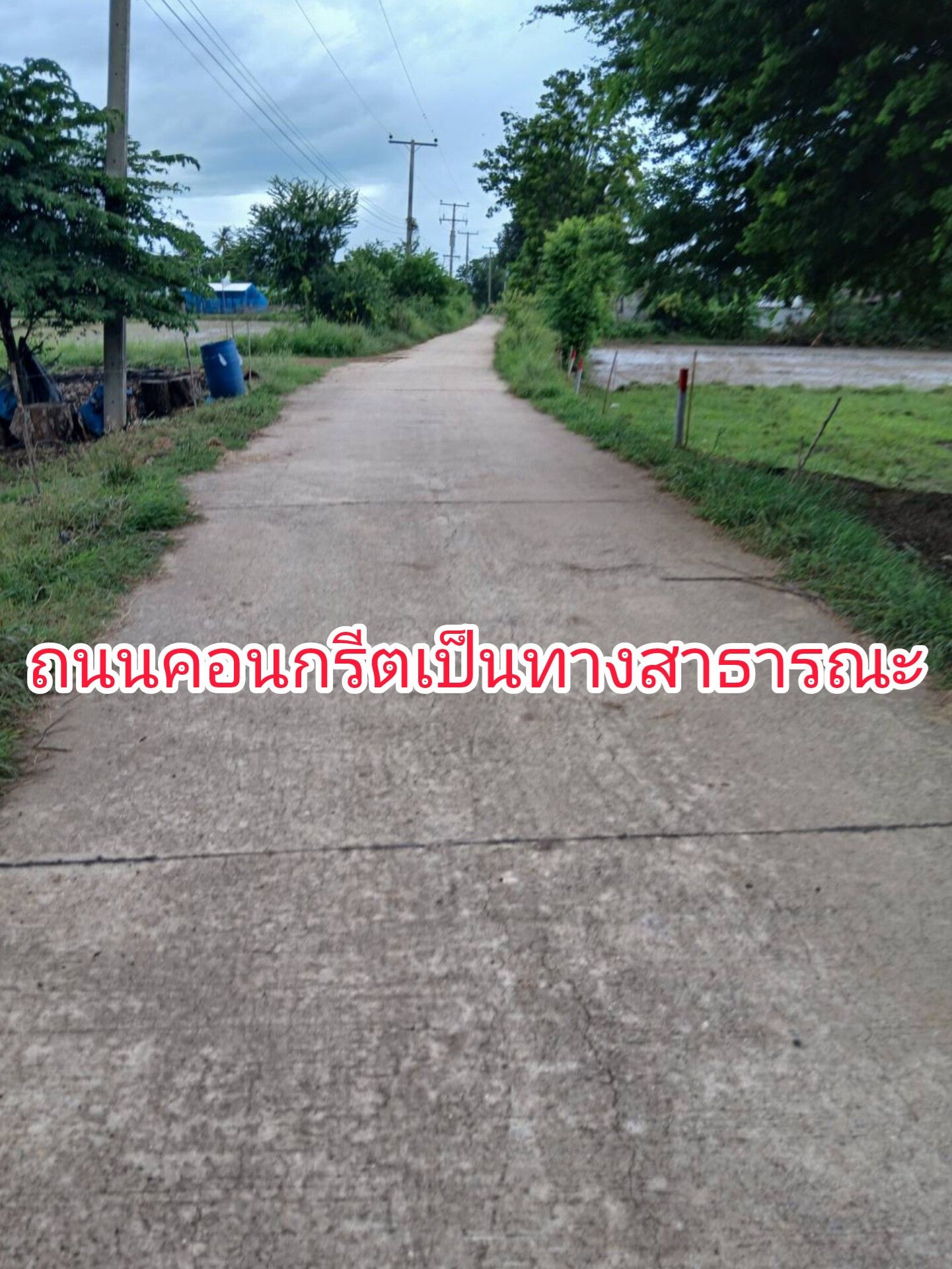 ขายที่ดินแบ่งแปลง สะพานหิน เนื้อที่ 1 ไร่ อยู่ในชุมชน วิวทุ่งนา บรรยากาศบ้านสวน ราคาถูก ฟรีค่าโอน