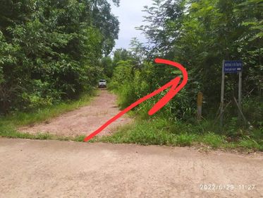ขายที่ดิน ที่เปล่า สังคม หนองคาย 2-3-81