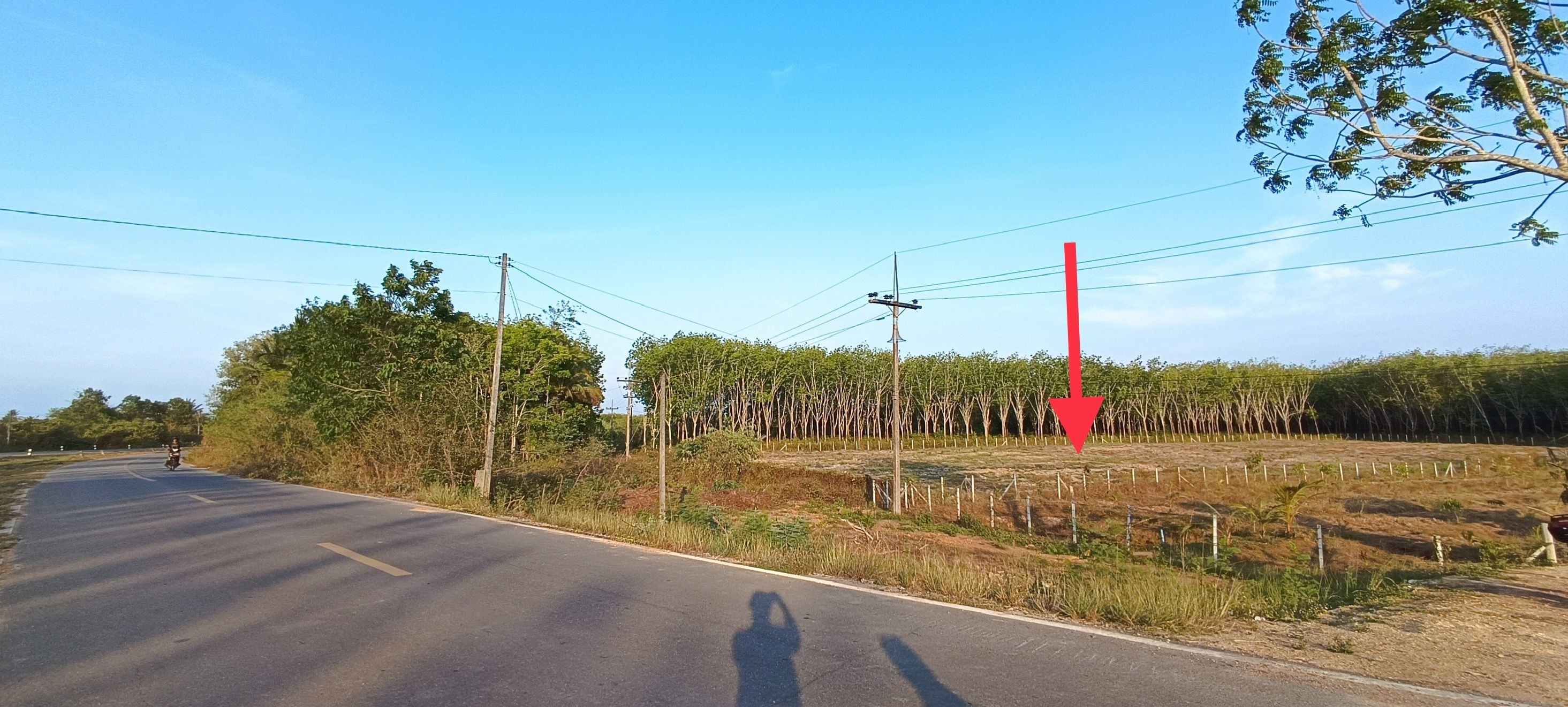 ขายที่ดินเปล่า คลองหอยโข่ง ใกล้อ่างเก็บน้ำคลองหลา