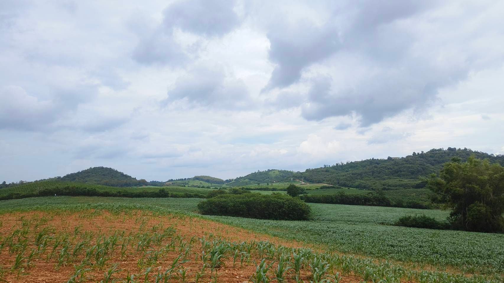 ที่ดินเขาใหญ่ แปลงสวยวิวเขา 64 ไร่ บนเนิน สูง 469 m.