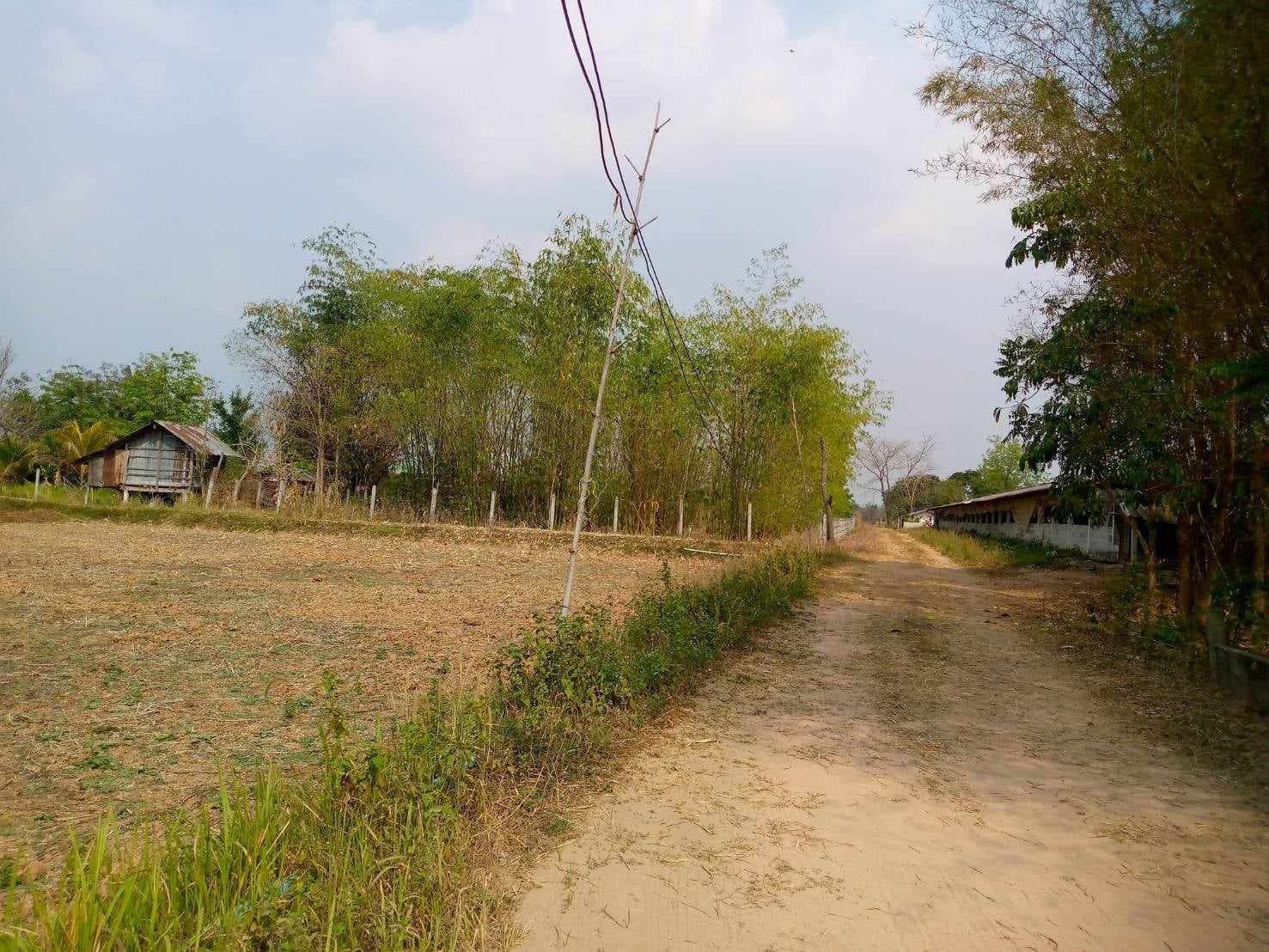 ขายที่ดินหนองบัวลำพู ที่ดินแปลงสวย ติดถนนสาธารณะ น่าลงทุนมาก เมืองหนองบัวลำภู 4-3-55 ไร่.