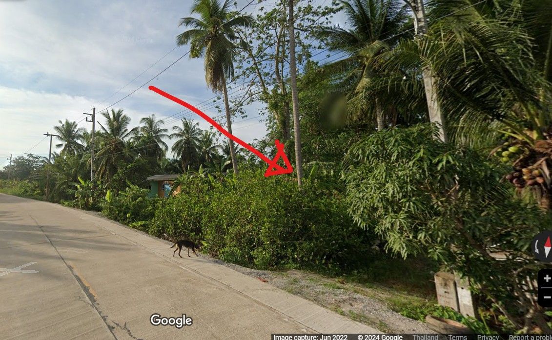 ขายที่ดินเปล่าติดถนน อ.เมืองสุราษฎร์ธานี จ.สุราษฎร์ธานี 0-2-45.7