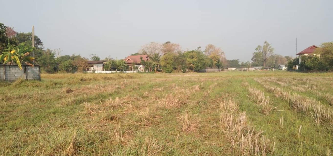 ที่ดินสวย ทำเลดี ข้างซอยลดา คอสเมติกส์ กาฬสินธ์ 2-2-11.9