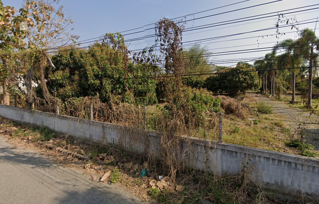 ที่ดินเปล่า เหมาะสำหรับสร้างบ้าน 0-0-74.1 ตร.ว.