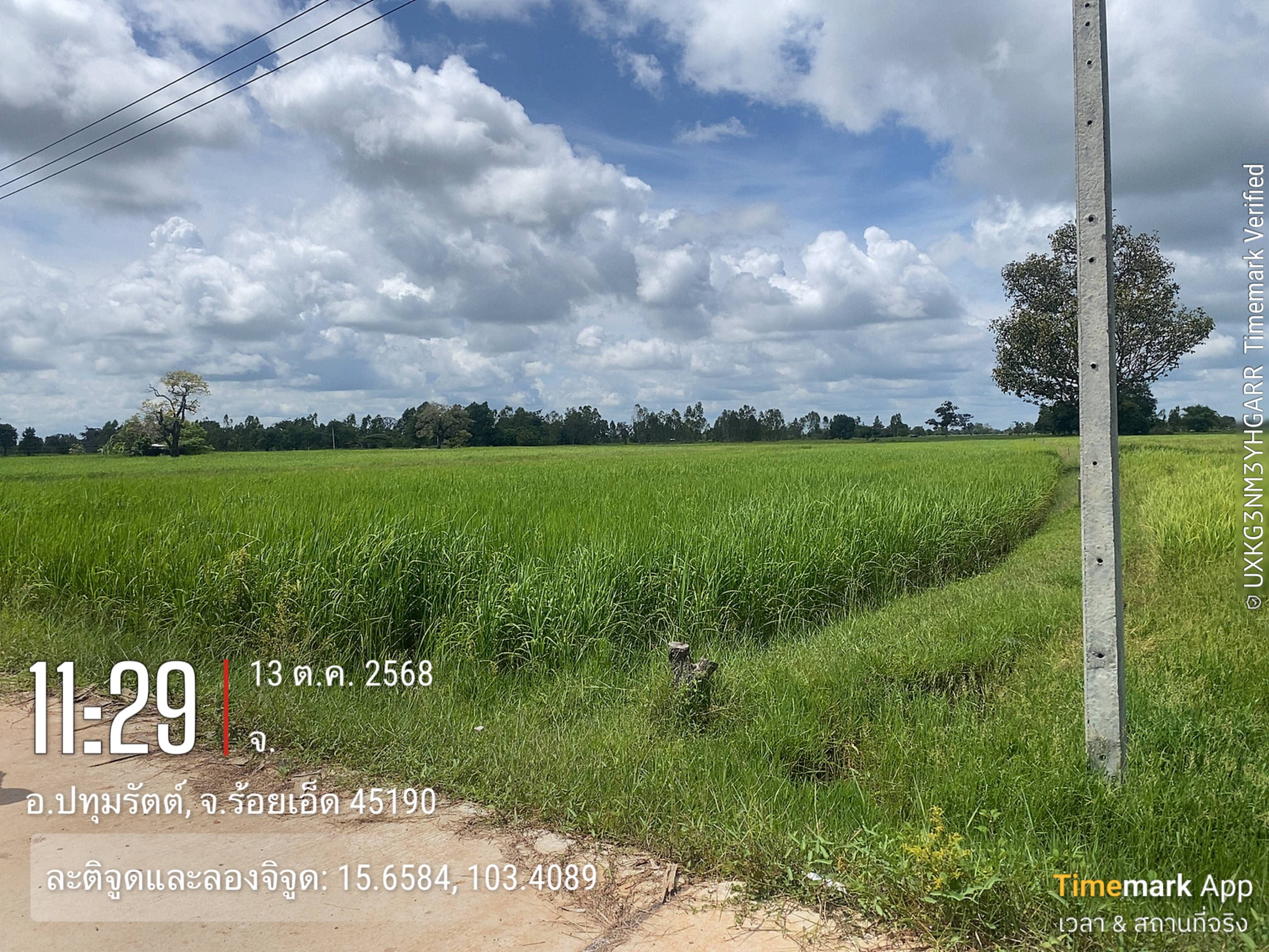 ที่ดินเปล่า