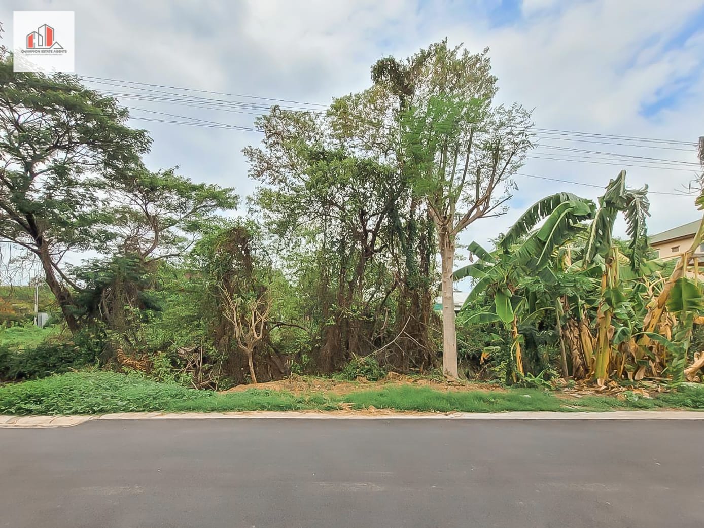 ขาย ที่ดิน เหมาะสร้างบ้าน เพชรเกษม77 แยก1 355 ตร.วา ขายถูกแต่ทำเลดีมาก