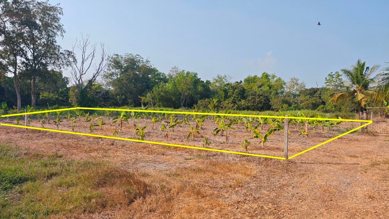 ที่ดินกรุงเทพ - หนองจอก 331 ตรว