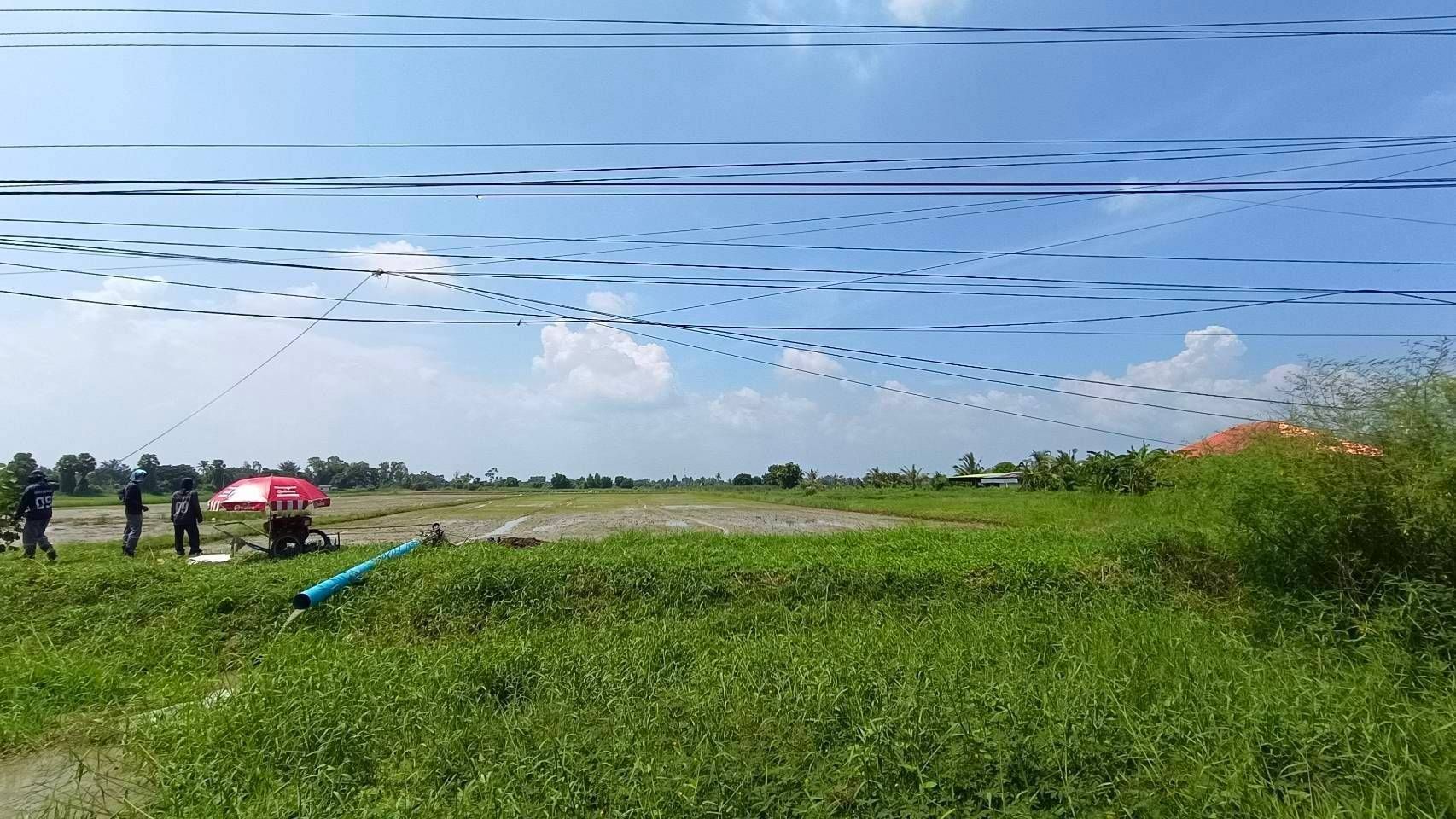 ขายที่ดินเพชรบุรี ติดถนนสาธารณะ ใกล้ชุมชน บ้านแหลม เพชรบุรี 5-3-97