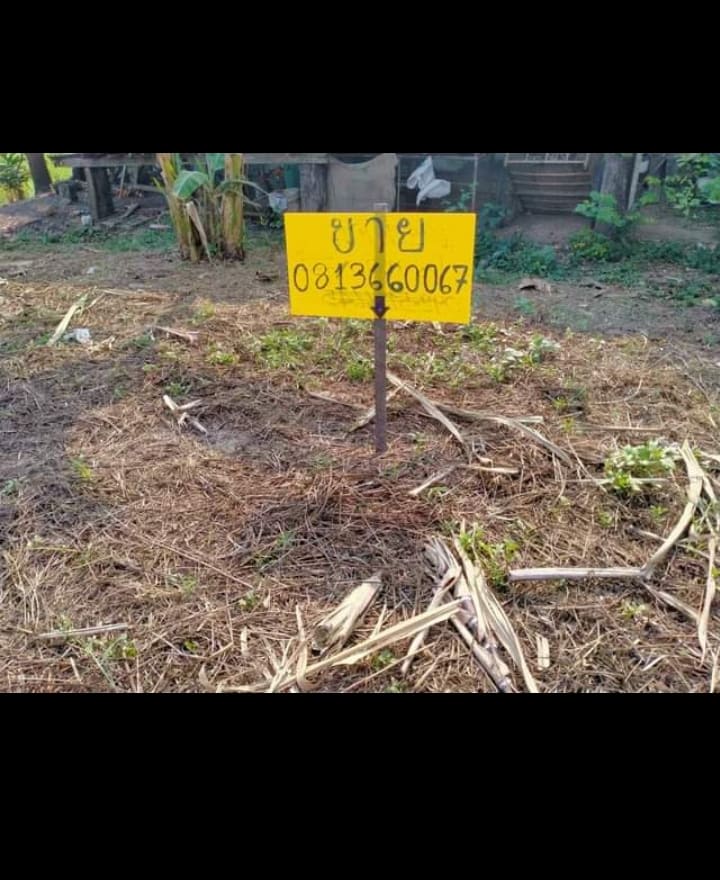 ที่ดินเปล่า วิวดอย เหมาะสำหรับสร้างบ้าน สันทราย เชียงใหม่0-0-57