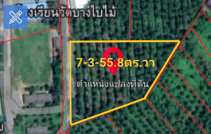 ขายที่ดิน สุราษฎร์ธานี 7-3-55.8 ไร่