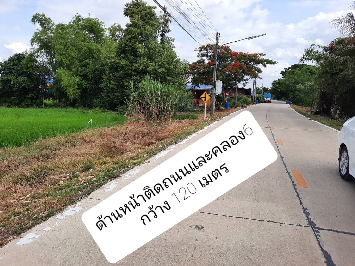 ที่ดินแปลงใหญ่ ปทุมธานี 90-1-58