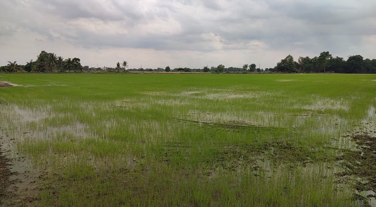 ที่ดิน 4 ไร่ ติดถนน 2 ด้าน ใกล้นิคมอุตสาหกรรม WHA ใกล้ถนนมิตรภาพ หนองแค สระบุรี