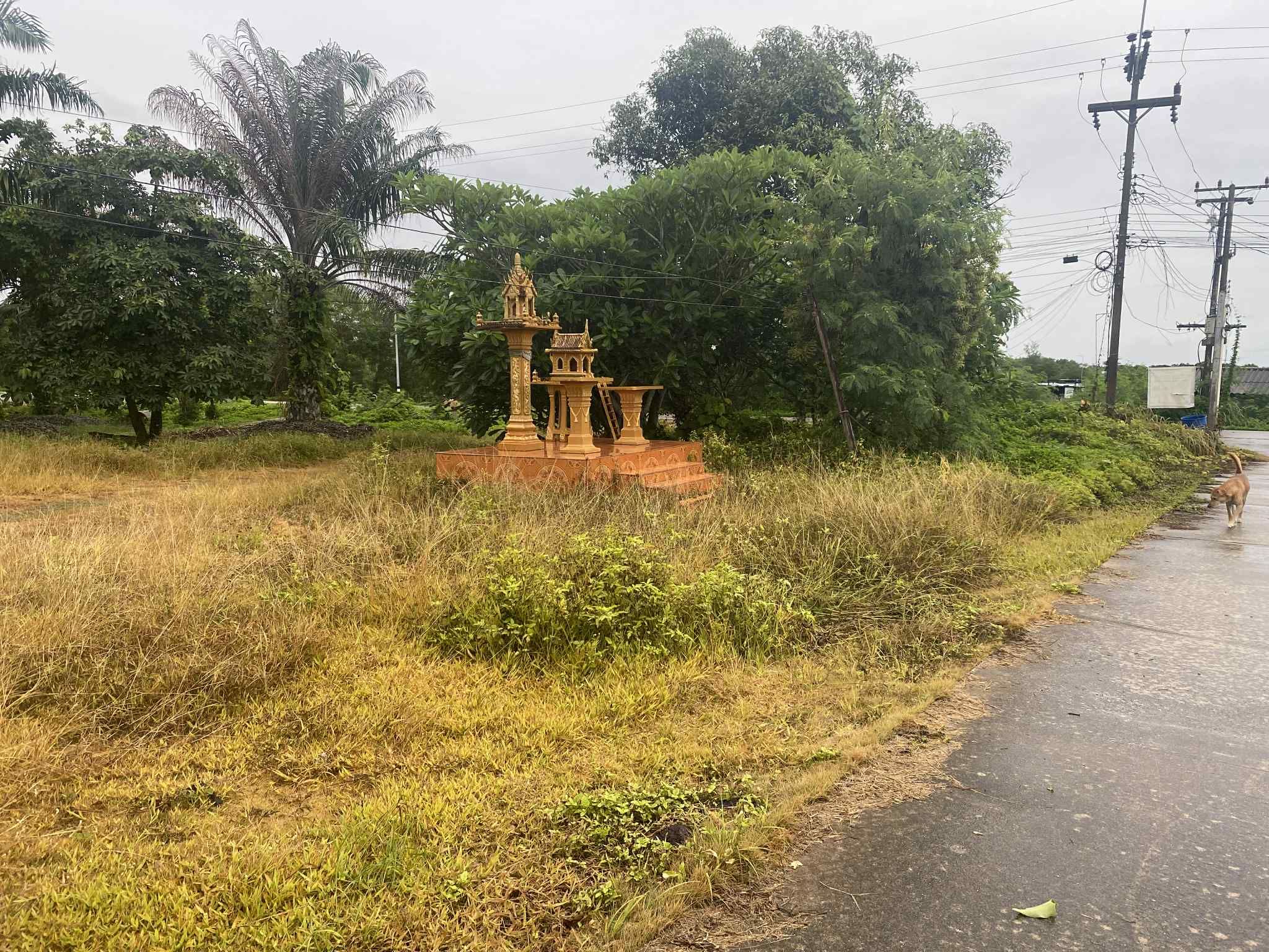 ขายที่ดินชุมพร อำเภอเมือง ติดทะเล