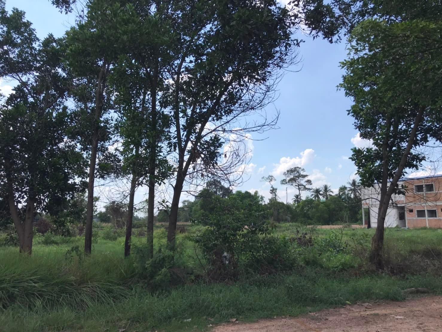 ขายที่ดินอุบลราชธานี วารินชกราบ1ไร่