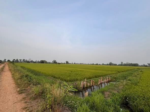 ขายที่ดินแปลงใหญ่ ต.แม่ข้าวต้ม อ.เมืองเชียงราย จ.เชียงราย