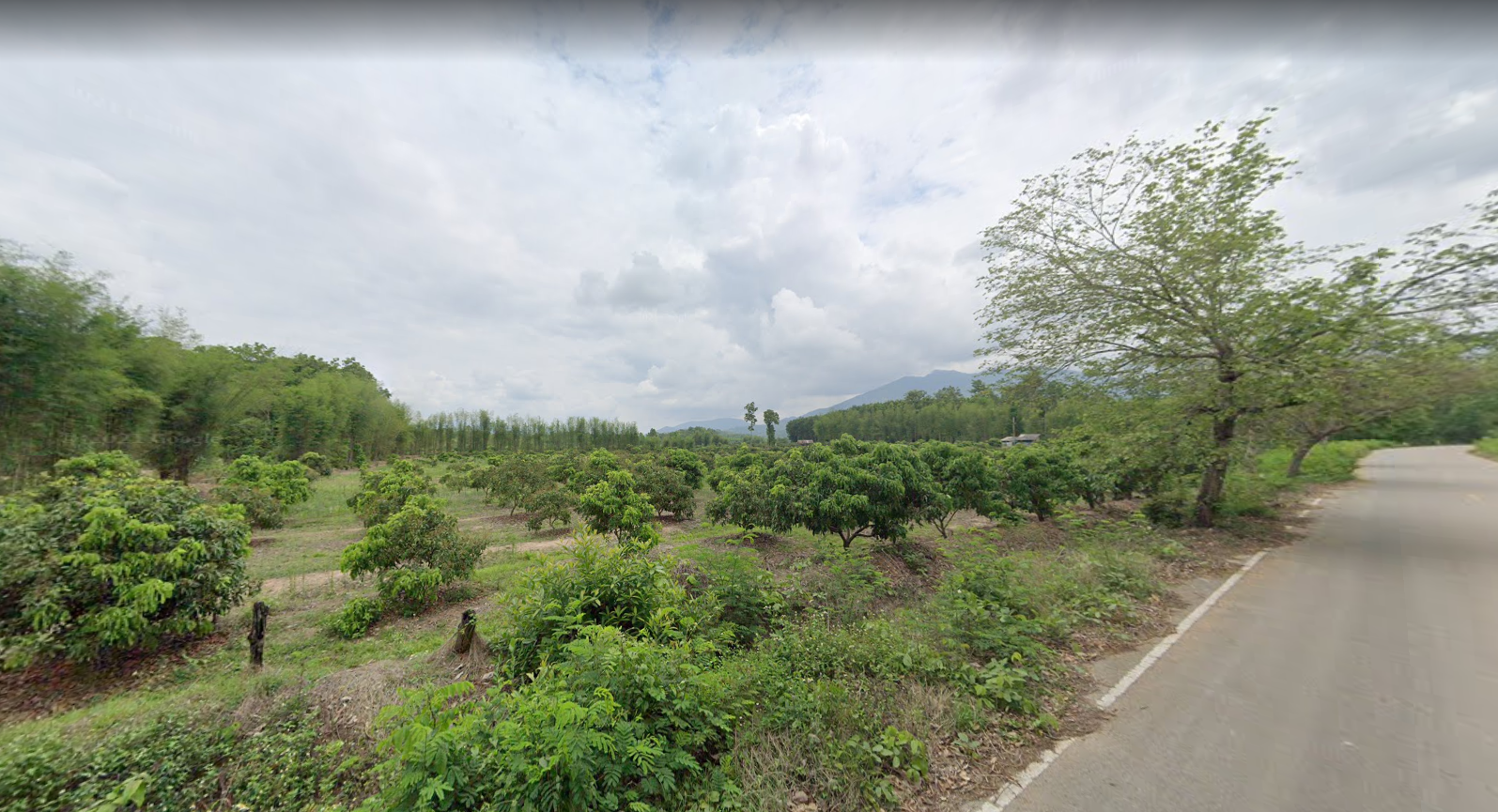 ที่ดินเปล่า อ.เทิง จ.เชียงราย 12-3-20ไร่