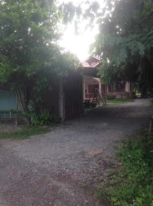 บ้านชั้นเดียว พร้อมร้านค้า พื้นที่ 266 ตรว. ป่าซาง ลำพูน 